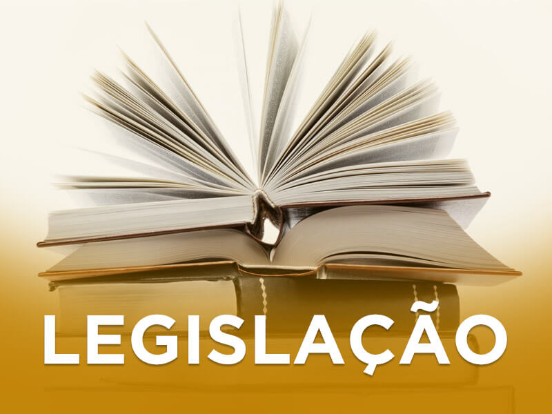 Despacho n.º 6605 - A/ 2021, de 6 de julho: definição dos referenciais curriculares